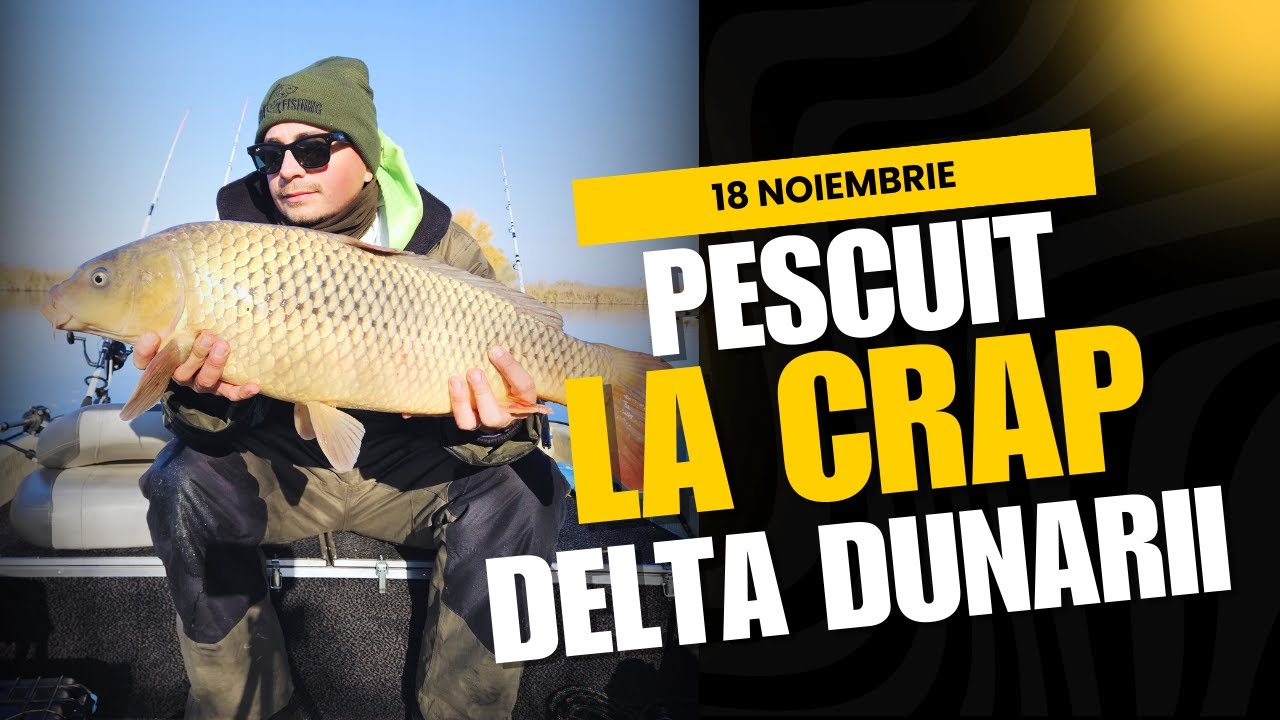 Strategia Bate Norocul: Cum Am Prins Crap După Crap în Delta Dunării, în Noiembrie