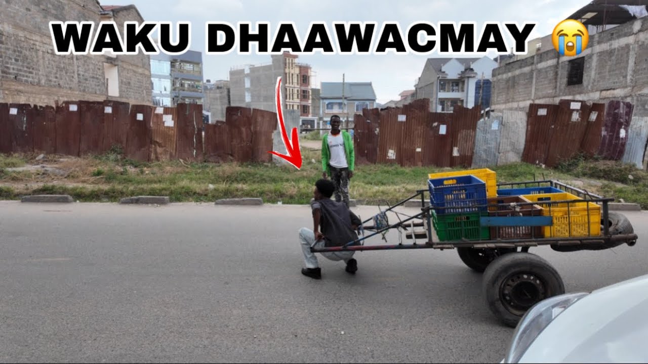 INTAN IS DHAHAAYI MOKOKOTENI WAD AYA DHAWACA IGU GARAY 