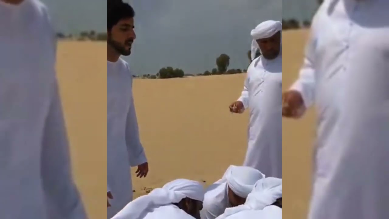Sheikh Hamdan Bin Mohammed Rashid Al Maktoum Short video #fazza3 #fazza #sheikhhamdan
