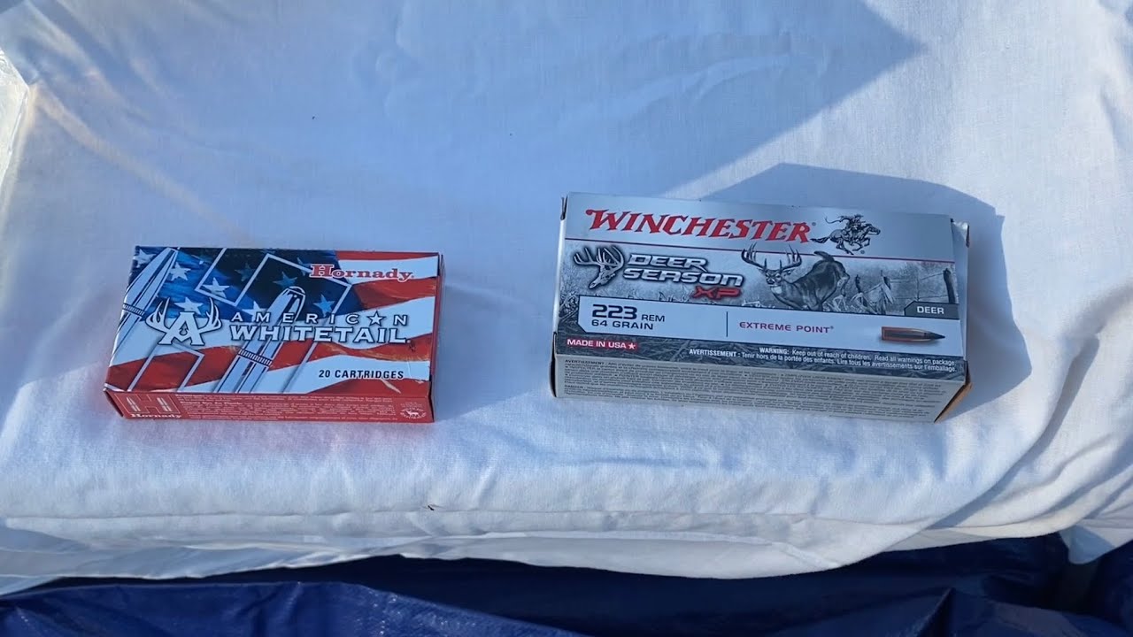 223 в баллистическом геле. Hornady American Whitetail и Winchester Deer Season XP