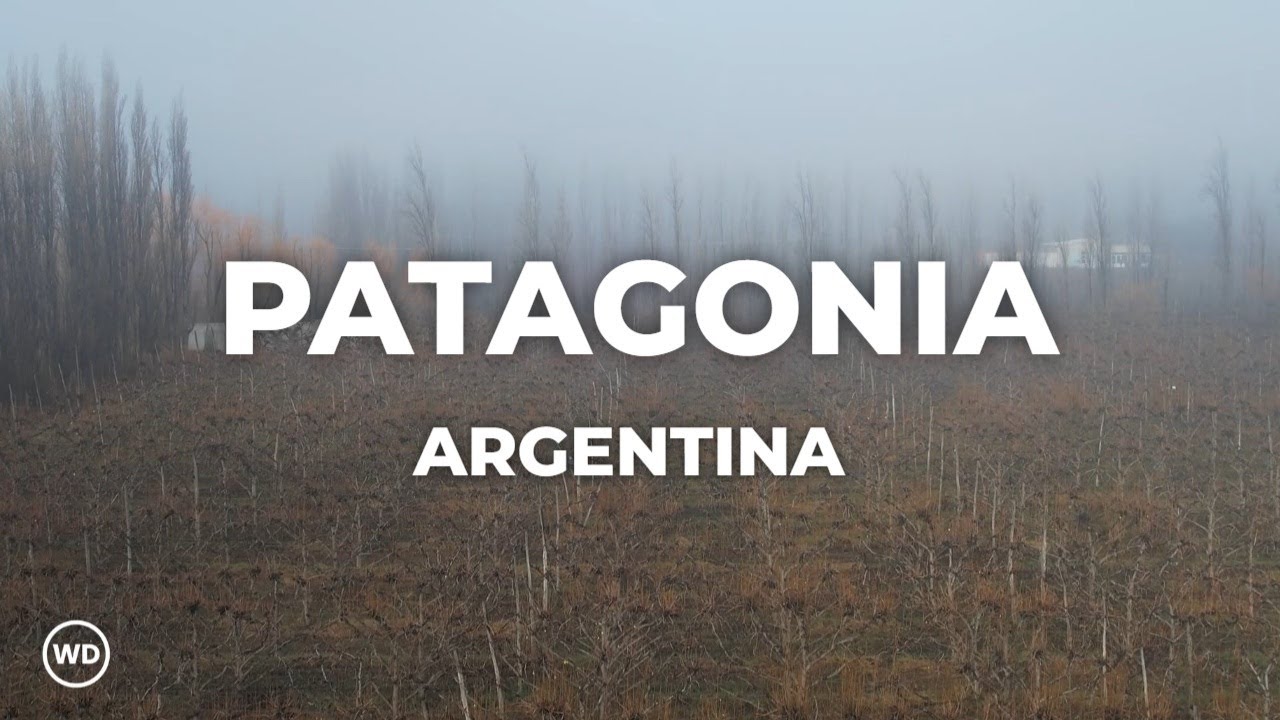 Exploring Argentina´s Southern Winemaking Region: Patagonia