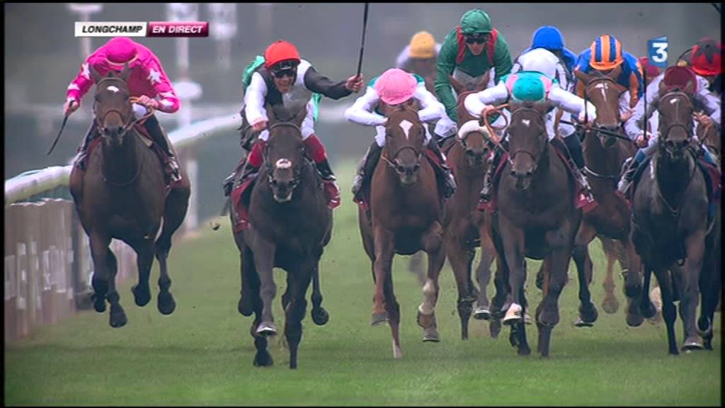 Prix de l'Arc de Triomphe 2015 - Golden Horn (Lanfranco DETTORI) -Flintshire - New Bay