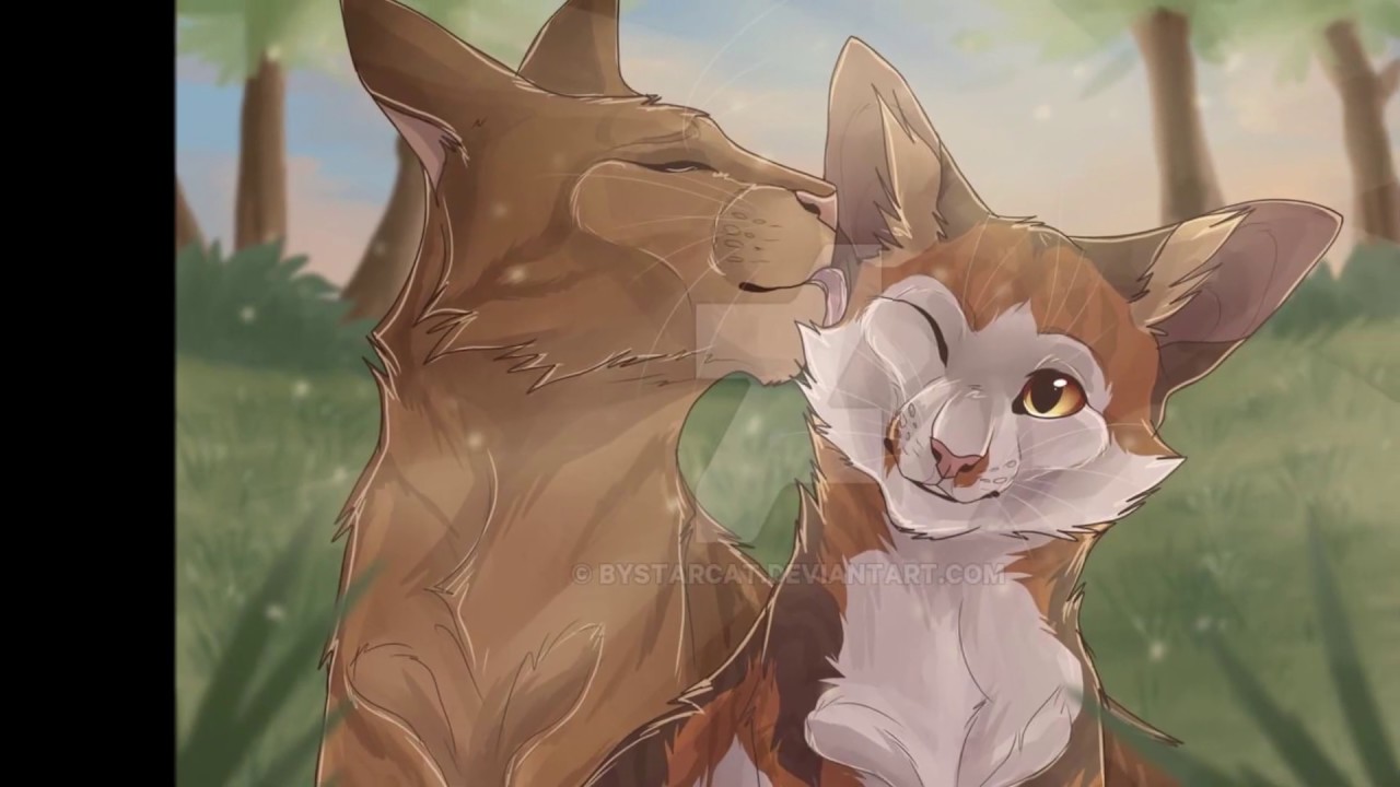 Die 15 süßesten Pärchen || Warrior Cats Videos