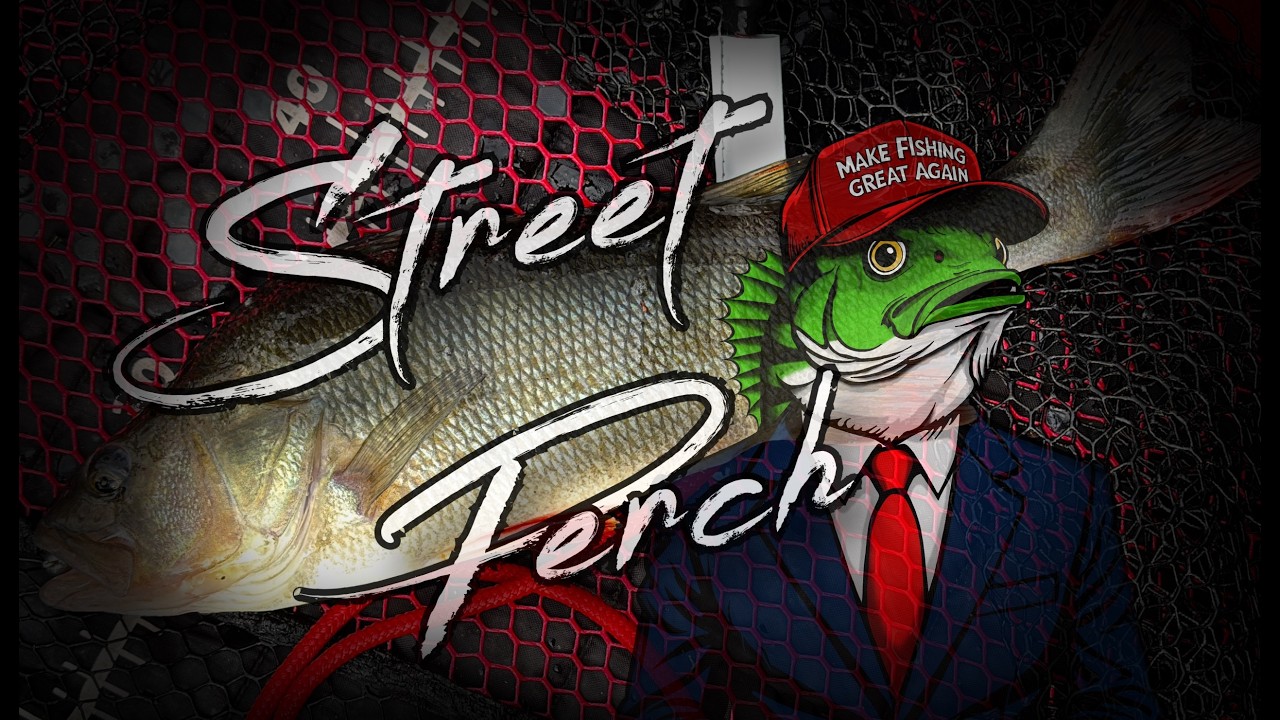 Where The Street Perch Lurk