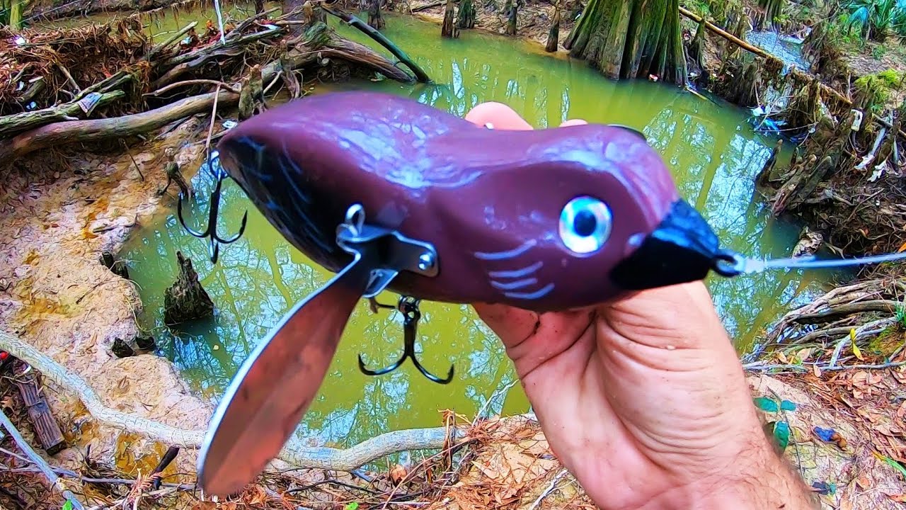 Fishing a HUGE BIRD LURE for a monster fish!