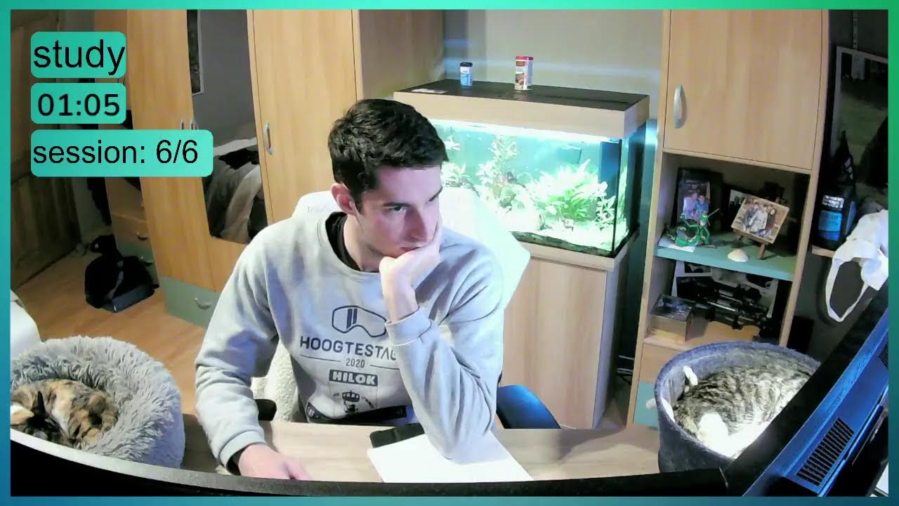 Study with me | 6+ Hours | 60-10 Pomodoro