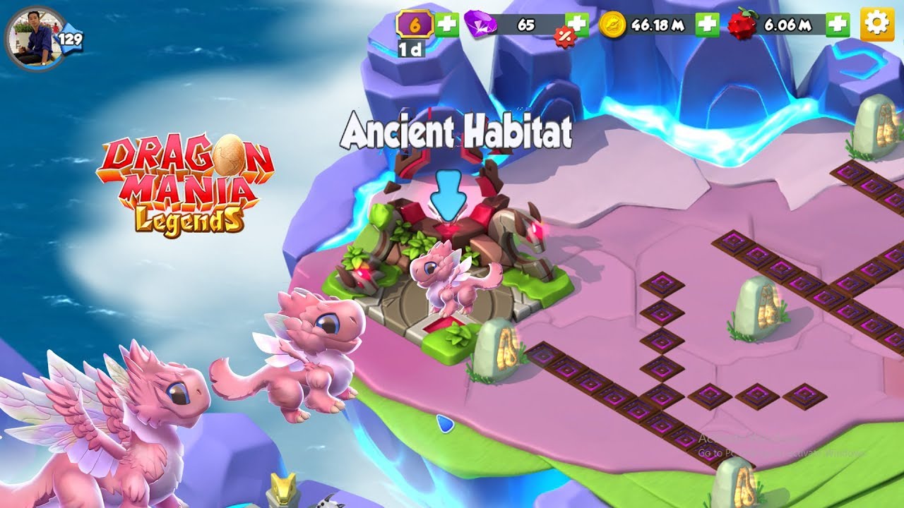 Hatchery Fairy Dragon + New buy Ancient Habitat | Gameplay Walkthrough Part 1617