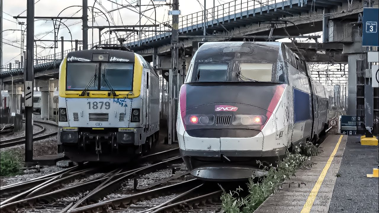 Trains at Forest-Midi Station (4K)