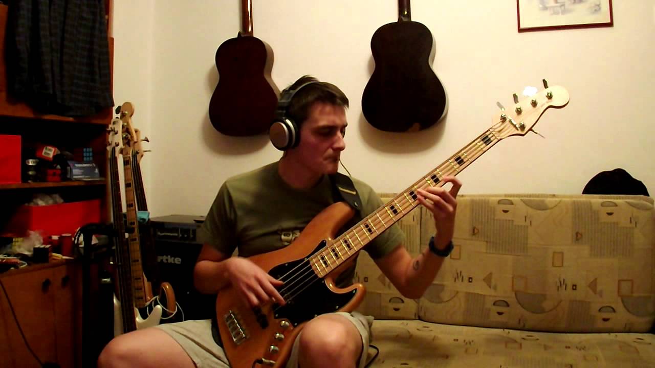 SUBSCRIBE - Every skin - bass cover