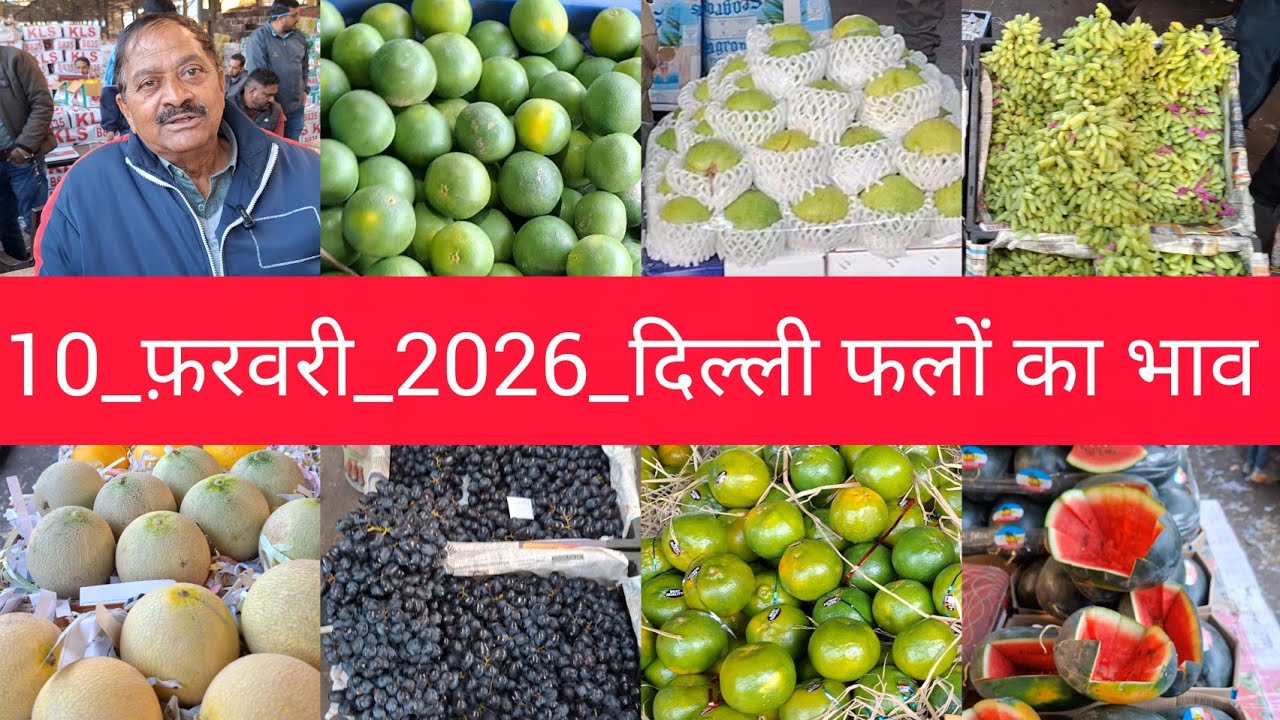 10 February 2026 दिल्ली आम और सभी फलों के भाव  today fruit market price APMC delhi fruit market