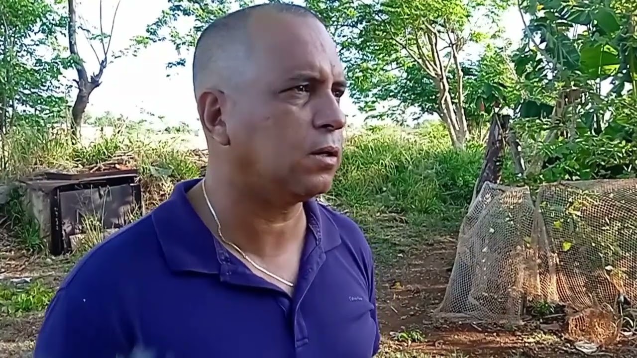 Se expande la siembra de alevines en  estanques y espejos de agua dulce de Batabanóe 2025