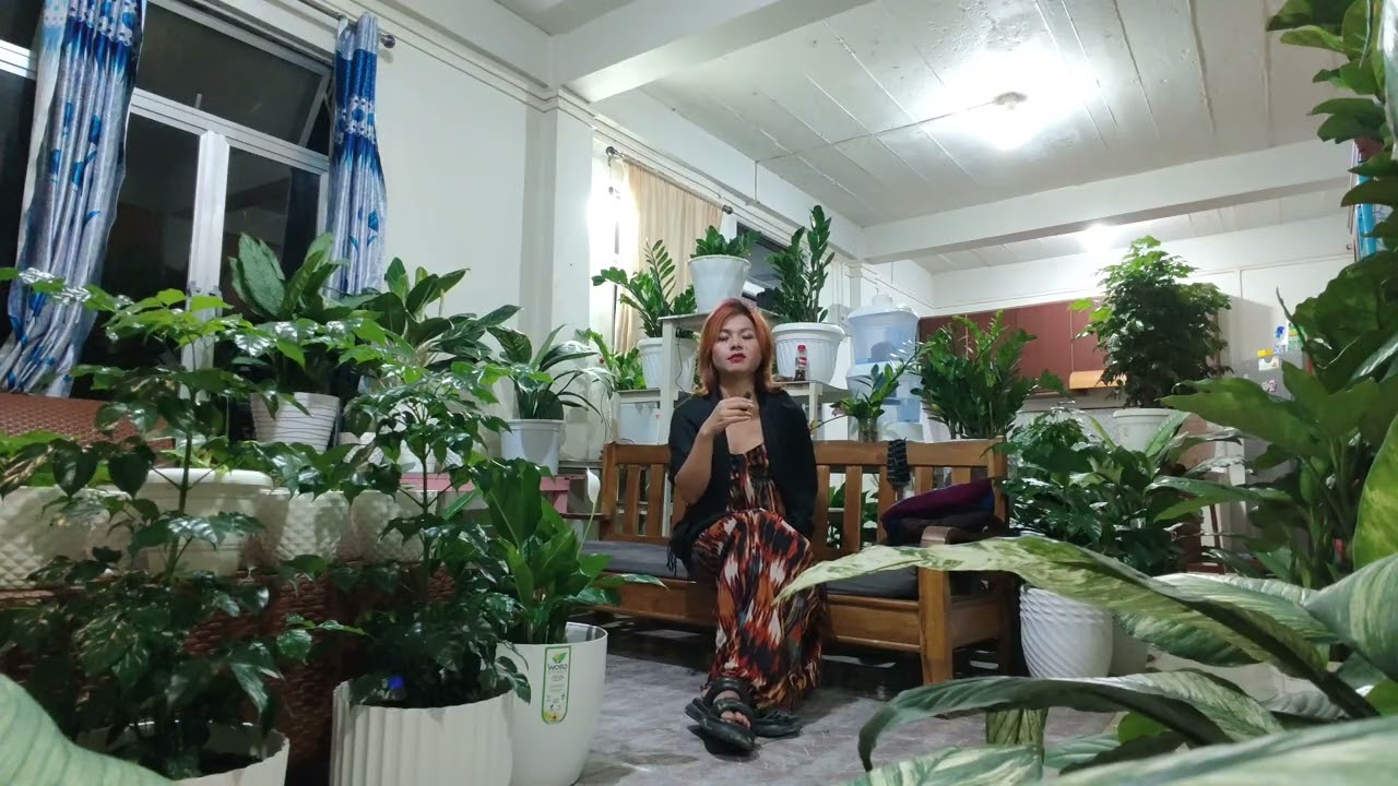 Pangpar enkawl dan dik🤗china doll tree,zz plant, fiddle, Monstera, piacelily...