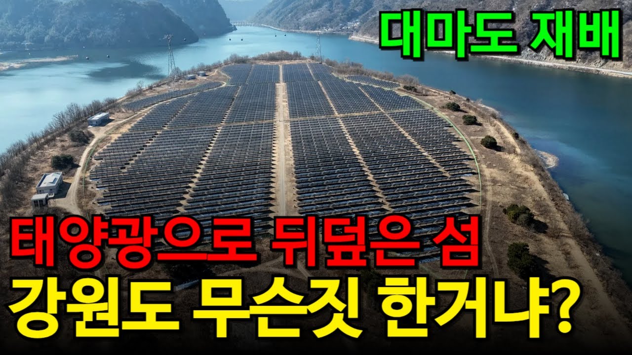 강원도 희대의 사기극 | 중국인 업자 배만 불린 태양광 섬