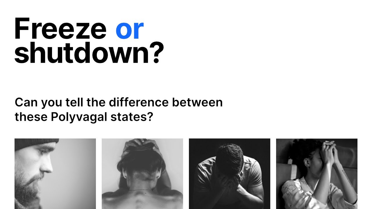 Freeze or Shutdown? Polyvagal Theory quiz