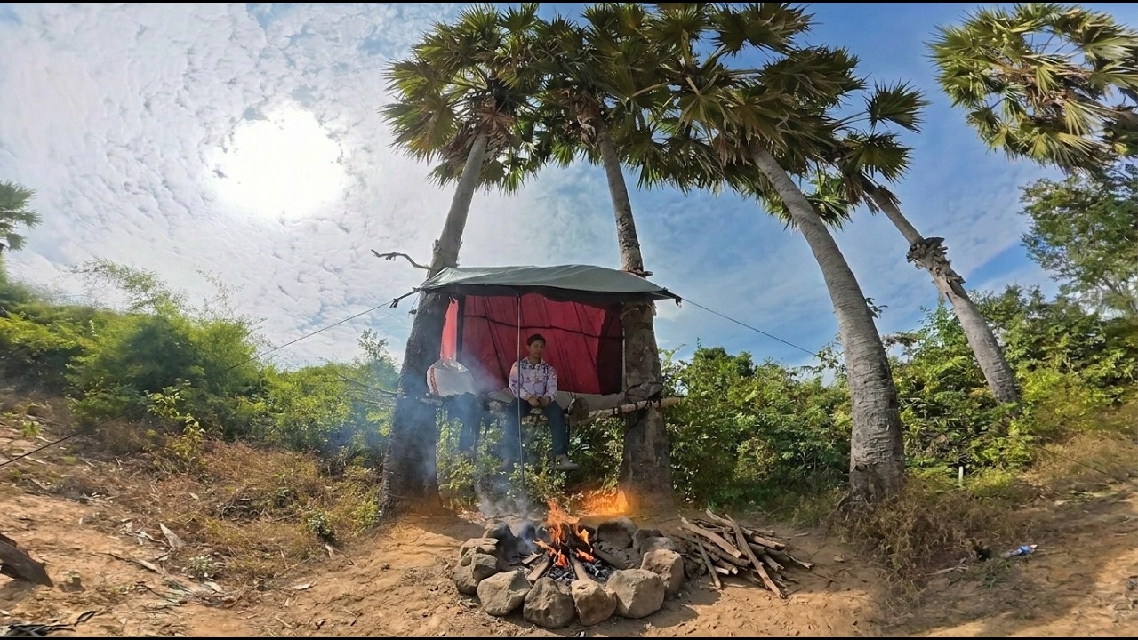 Solo Camping And Backpacking On The Palm Tree With Eating Coconut,