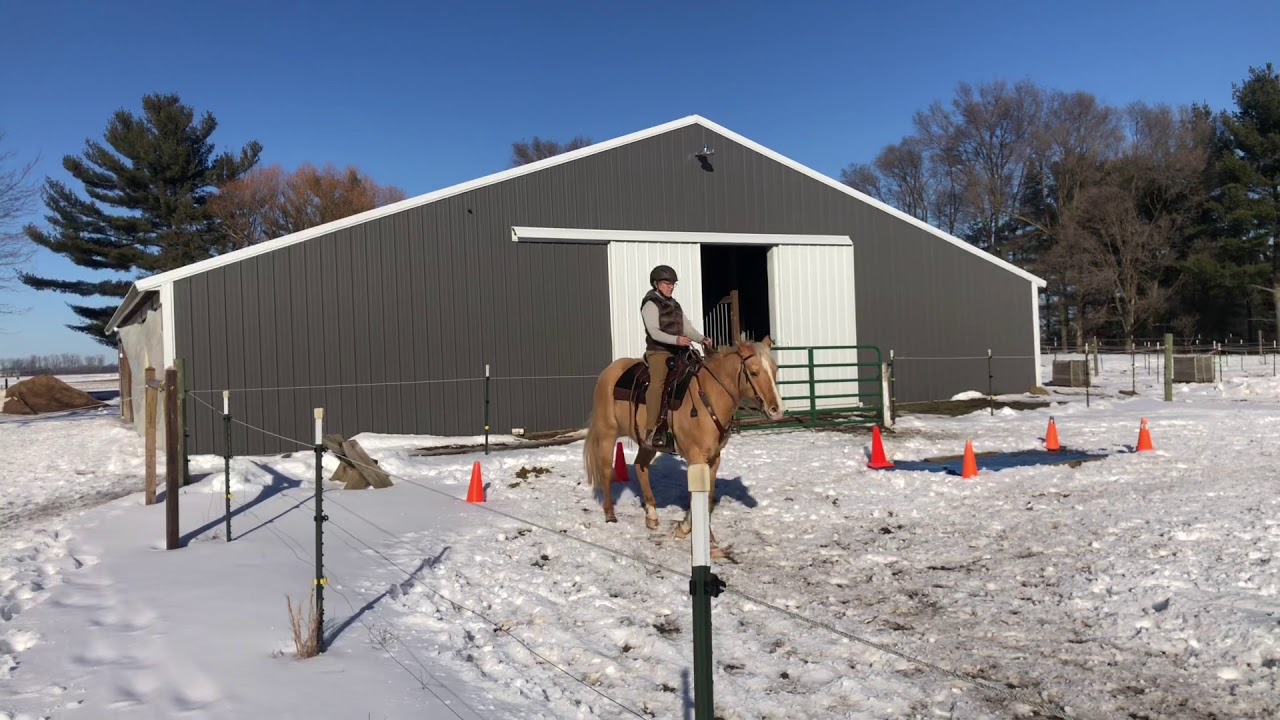 VTRC #8 Patty Hansma with Tell Basic Amateur 60+