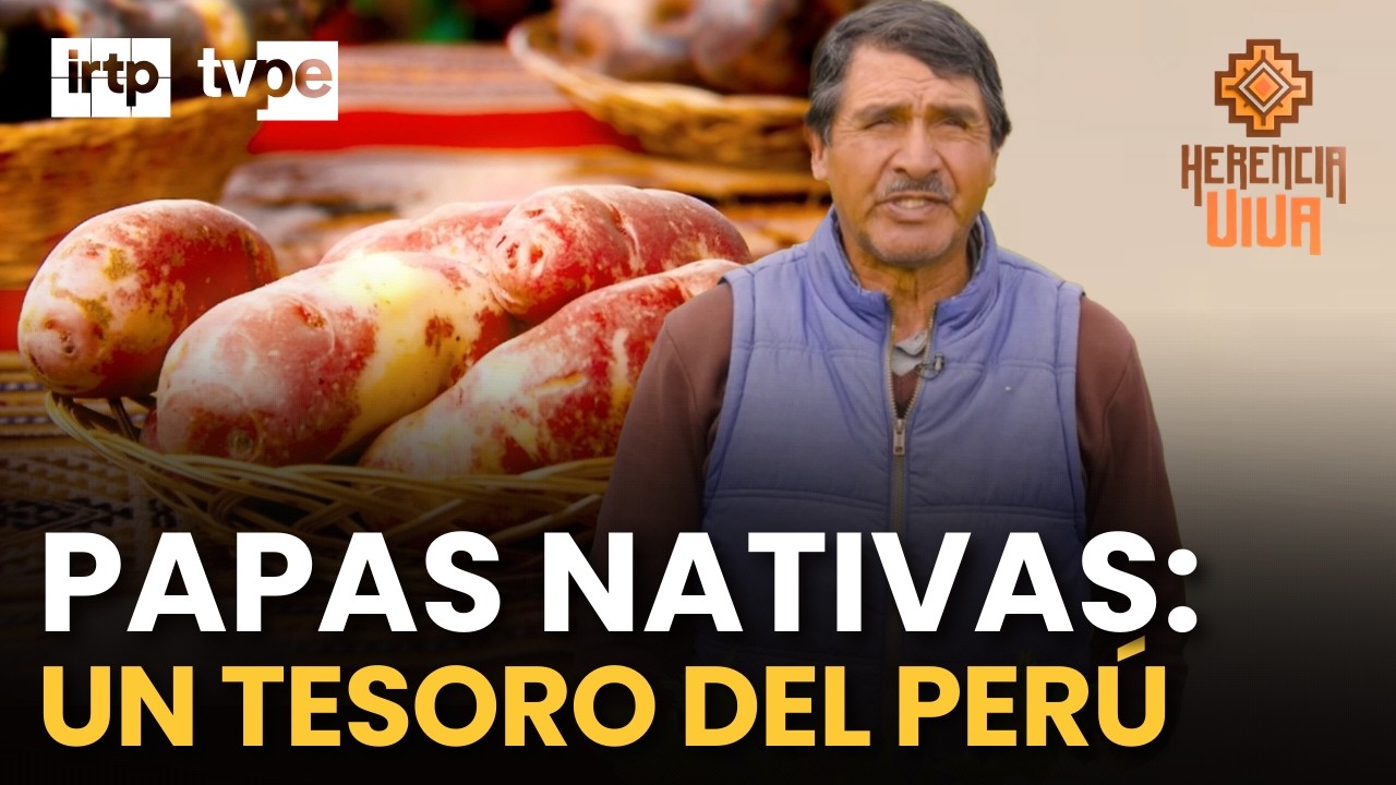 El guardián de las papas nativas del Perú 🥔 | 40 años rescatando la biodiversidad andina