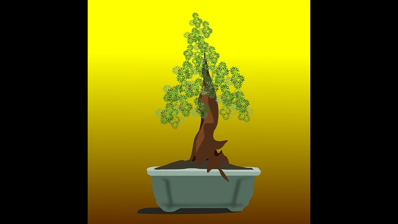 Bonsai; Anatomy of an informal upright