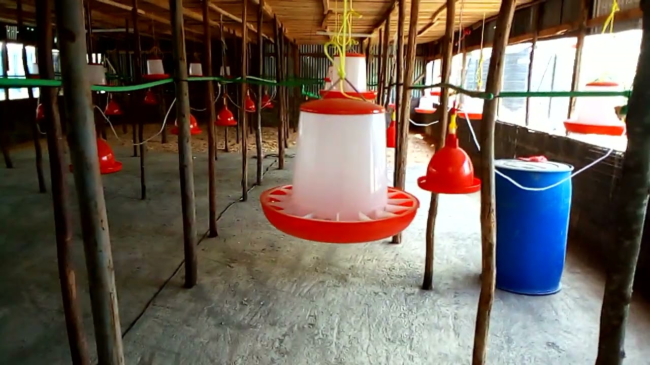 plumbing & installation of Automatic Bell drinkers..,..0711115217