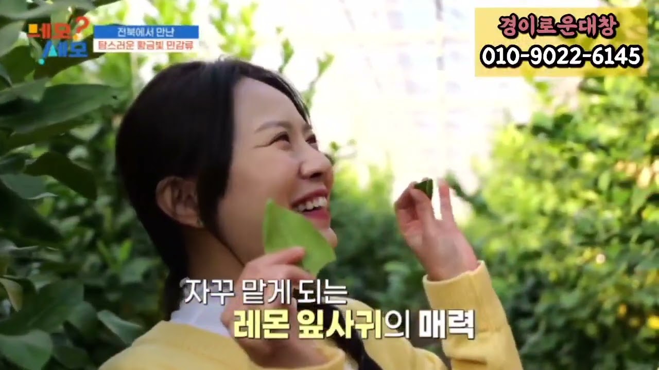 땀방울 네모세모 프로그램에 출연 했지요