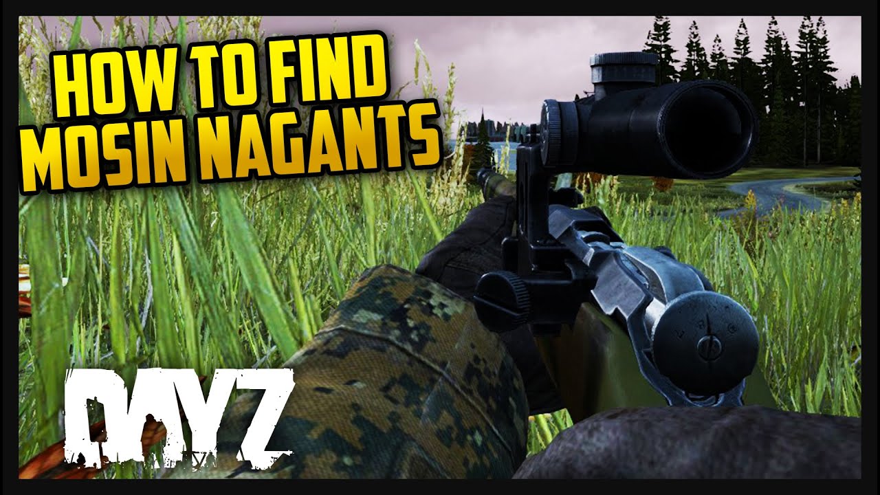 How to find Mosin Nagants - DayZ Standalone