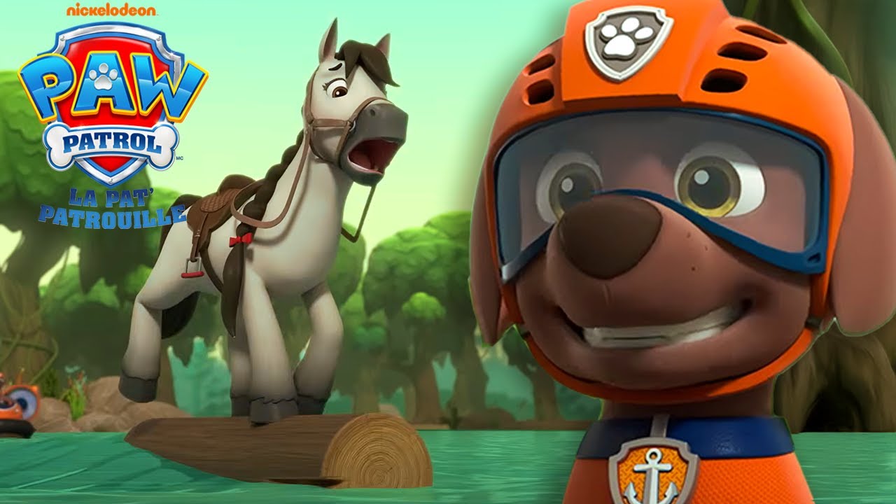 Zuma sauve un poney des rapides de la rivière! | La Pat' Patrouille | PAW Patrol | Compilation