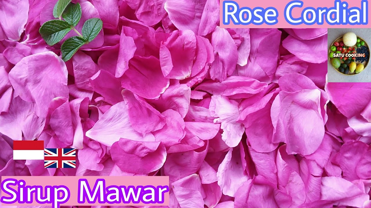 Membuat Sirup Rose Sendiri Dari Bunga Mawar Segar, Rasanya Persis Sirup Marjan Rose | Rose Cordial