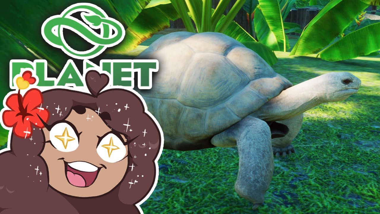 Генетически модифицированная черепаха прибыла?! 🐼 Зоопарк Zoodesia • №73