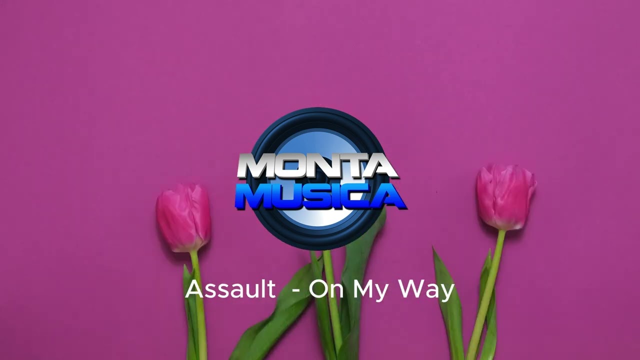 Assault - On My Way