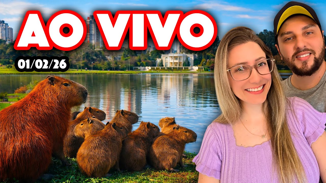 CURITIBA AO VIVO BRAZIL - 01/02/2026