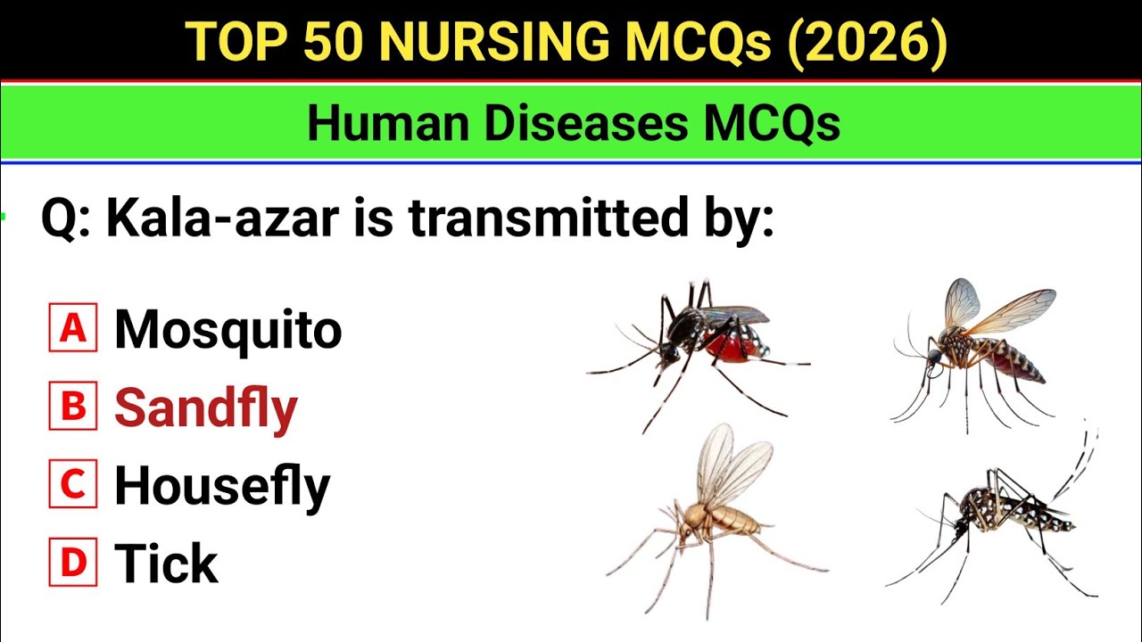 Top 50 Nursing MCQs | Human Diseases MCQs | Nursing 2026 MCQs | NCLEX, NORCET,  RRB staff nursing 