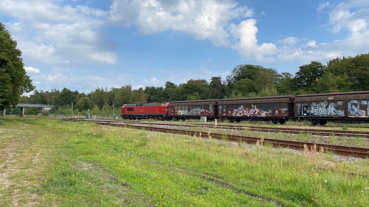 Godstoget ved Langå Station