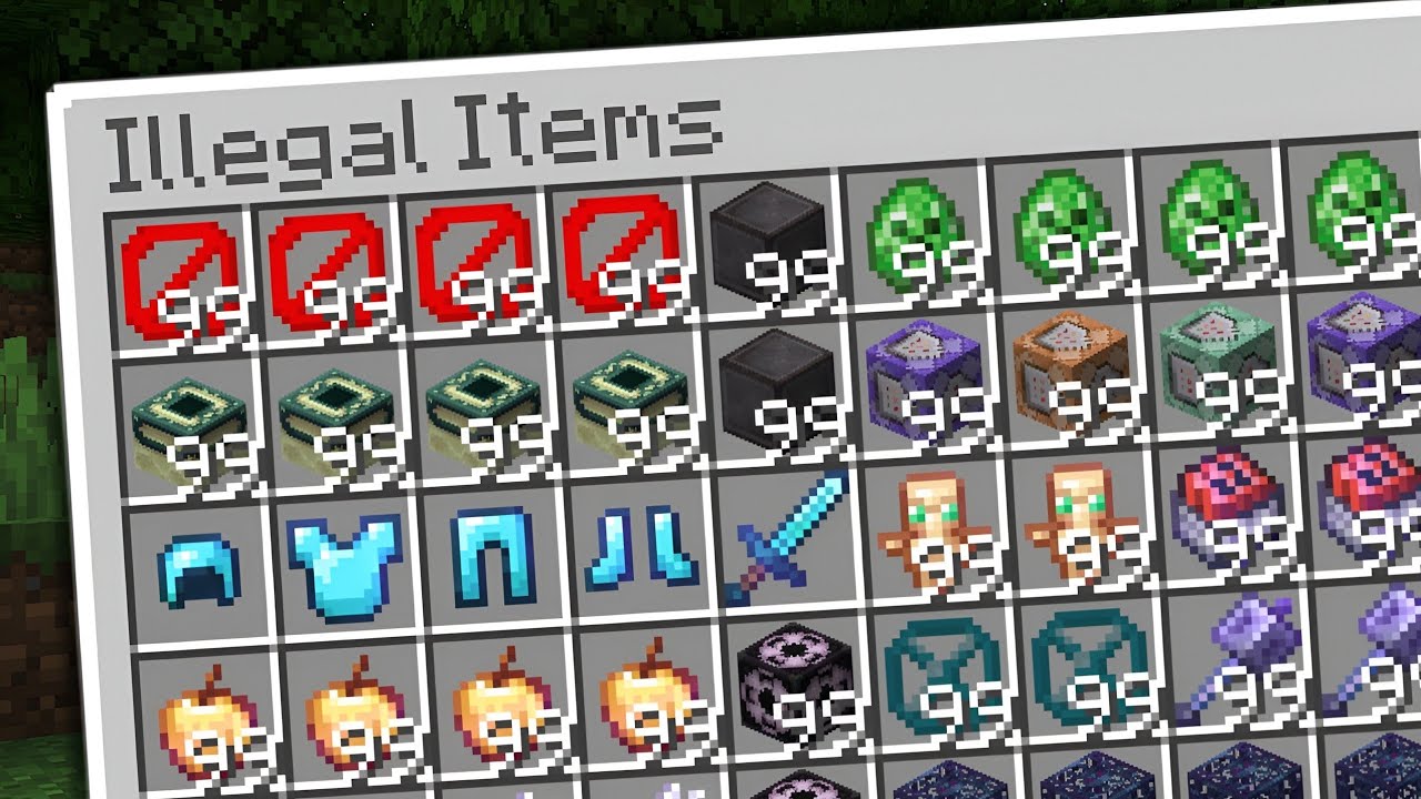 I Collected EVERY Illegal Item in This Minecraft SMP..!