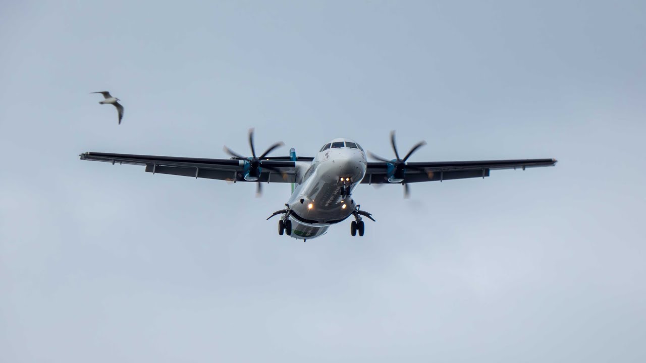 Plane Spotting till Sunset (Final Approach) to Belfast City Airport (BHD) 22nd August 2023