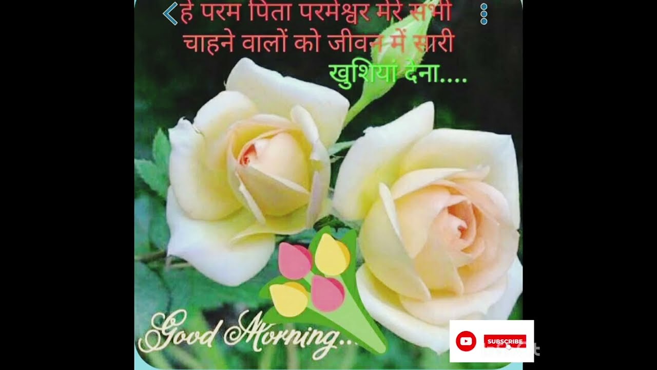 Flower status  flowers phote#youtube shorts #shorts video #Youtube