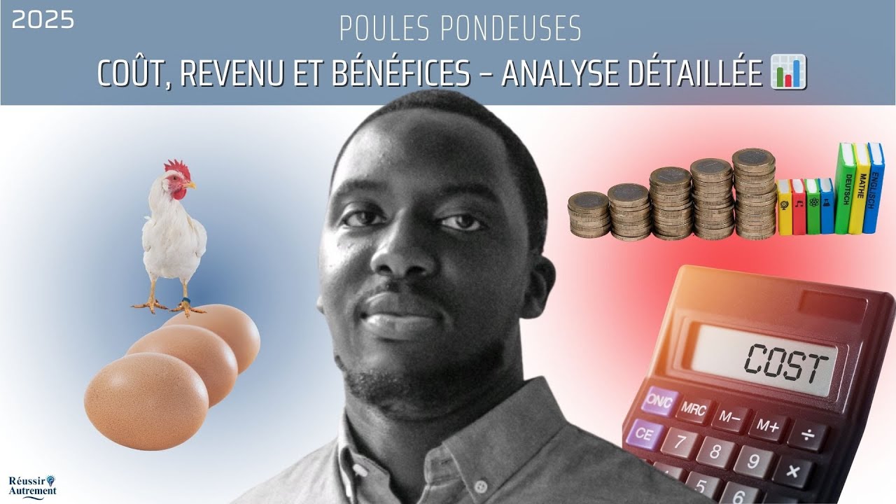 Élevage de Poules Pondeuses en 2025 : Coûts, Revenus et Rentabilité Réelle 💰 (Analyse Complète)