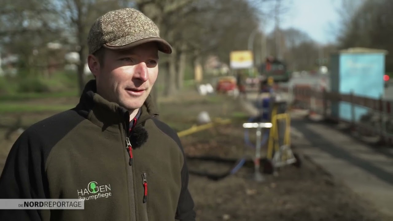 NDR nordreportage 2021 - Die Nordreportage - Die Baumretter