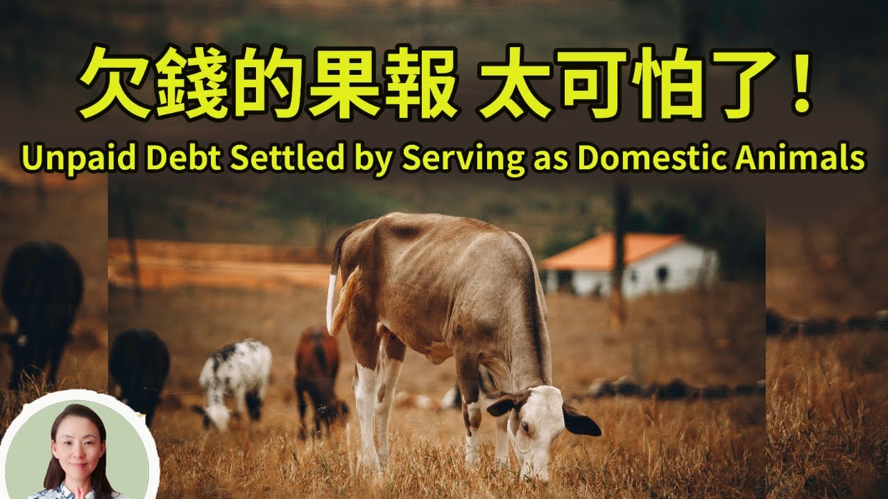 臨終前，他預言了自己的還債方法，欠錢的果報，太可怕了！Unpaid Debt Settled by Serving as Domestic Animals.