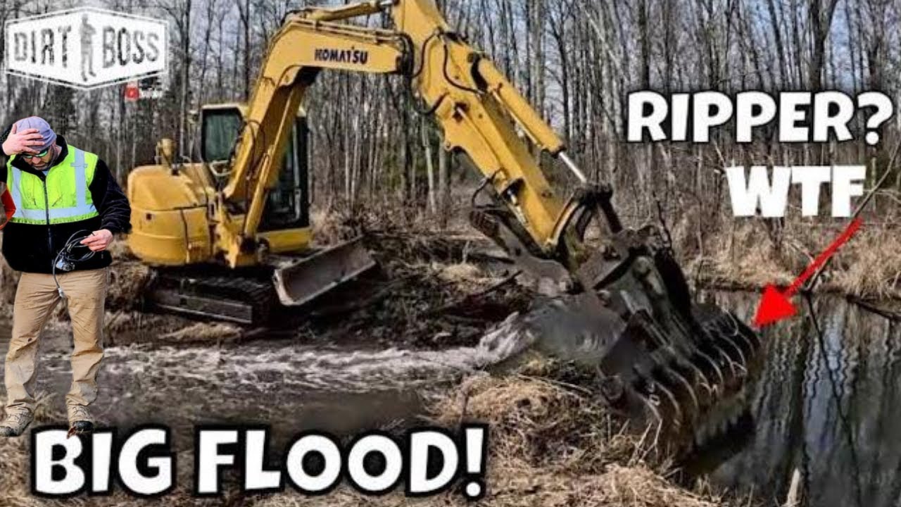 Best Beaver Dam Video