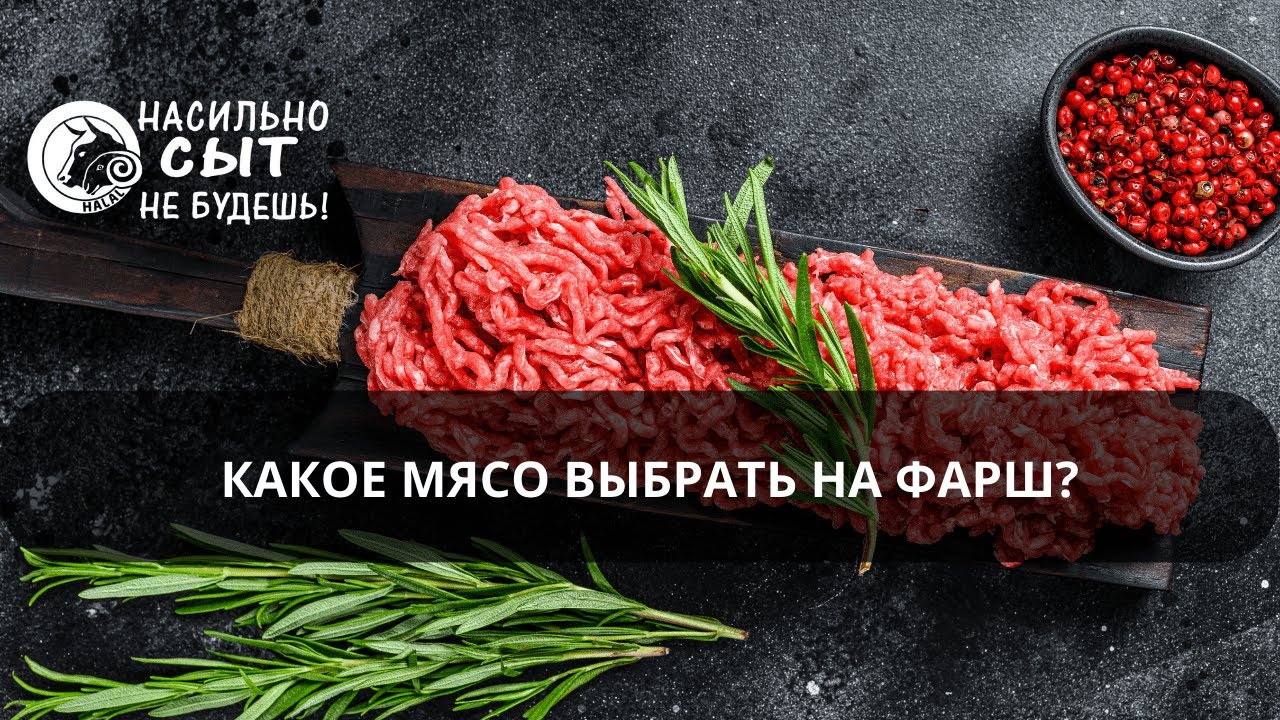 Какое мясо выбрать на фарш?