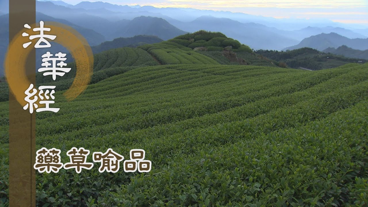 【靜思妙蓮華】法華經藥草喻品 - 藥草喻品 普被群機 - 20210623 第867集