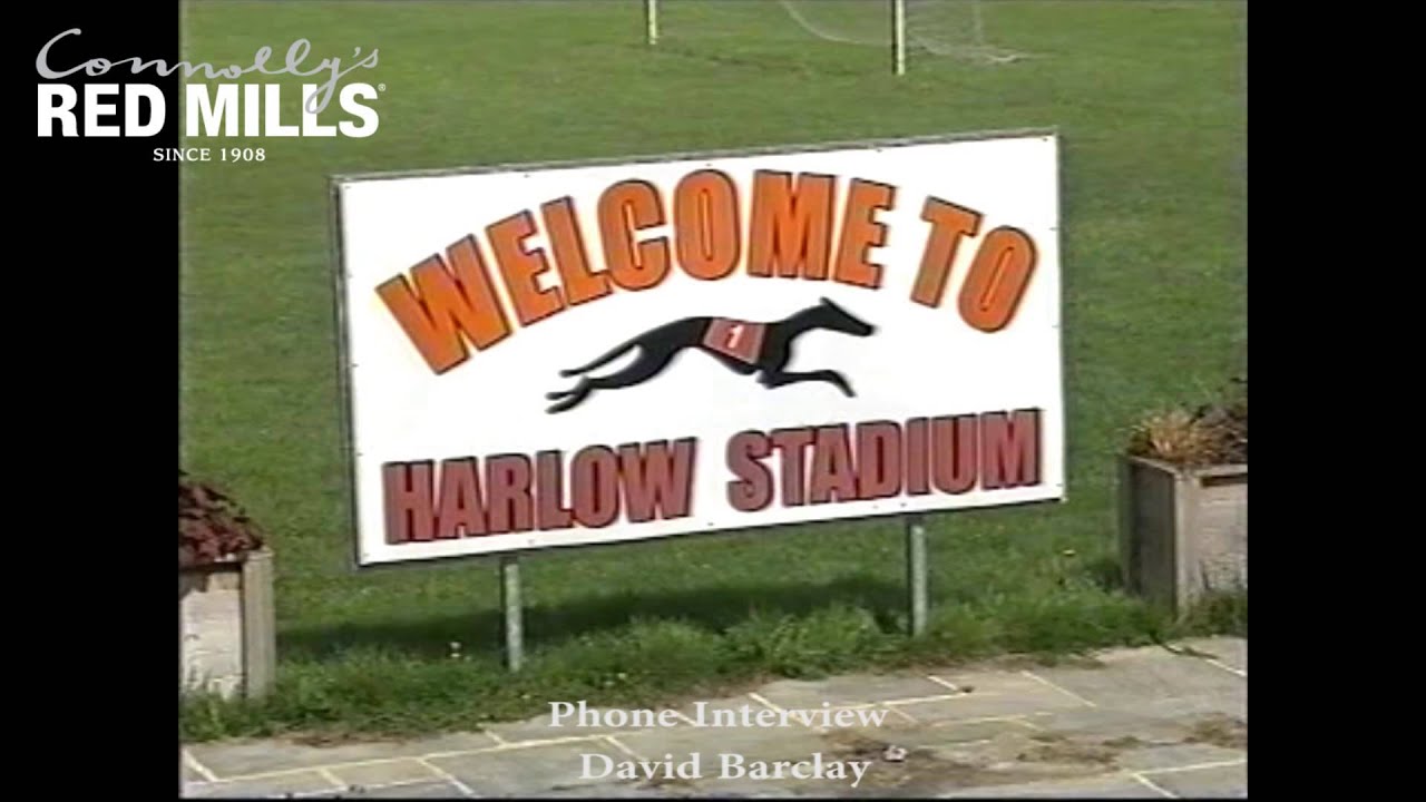 Harlow Greyhound Sales