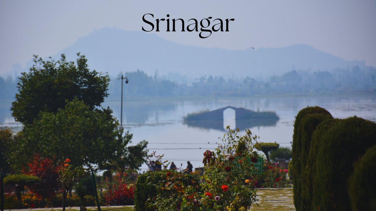 Srinagar - Part 5 | Glimpses from Srinagar | Kashmir | 4K |
