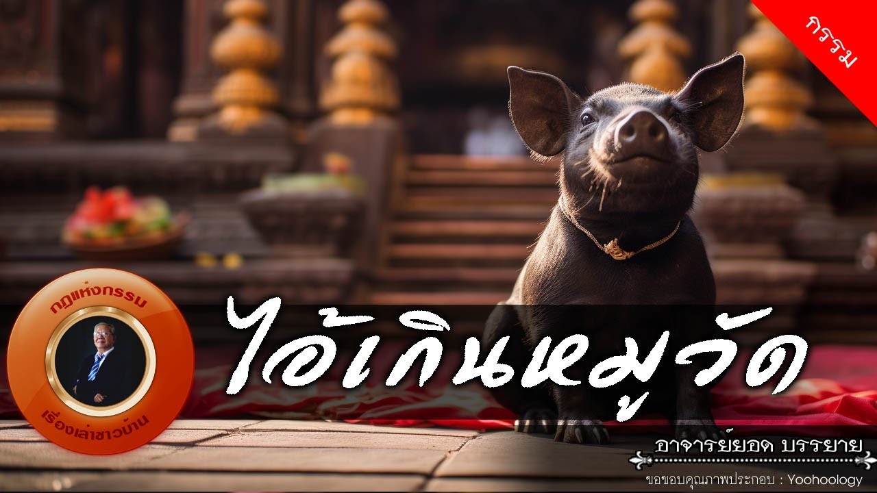 อาจารย์ยอด : ไอ้เกินหมูวัด [กรรม]