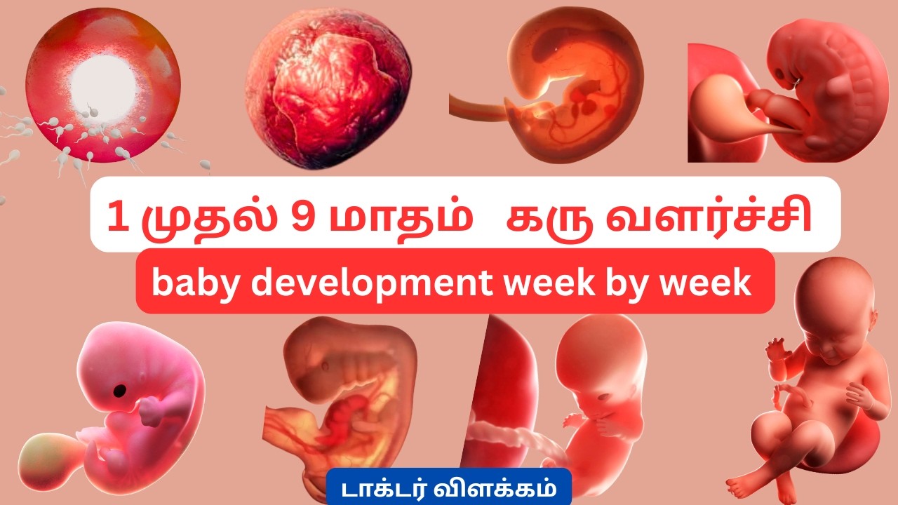 Baby development from 0 to 9 months during pregnancy in tamil|4KAnimation|Drpriya#fetaldevelopment