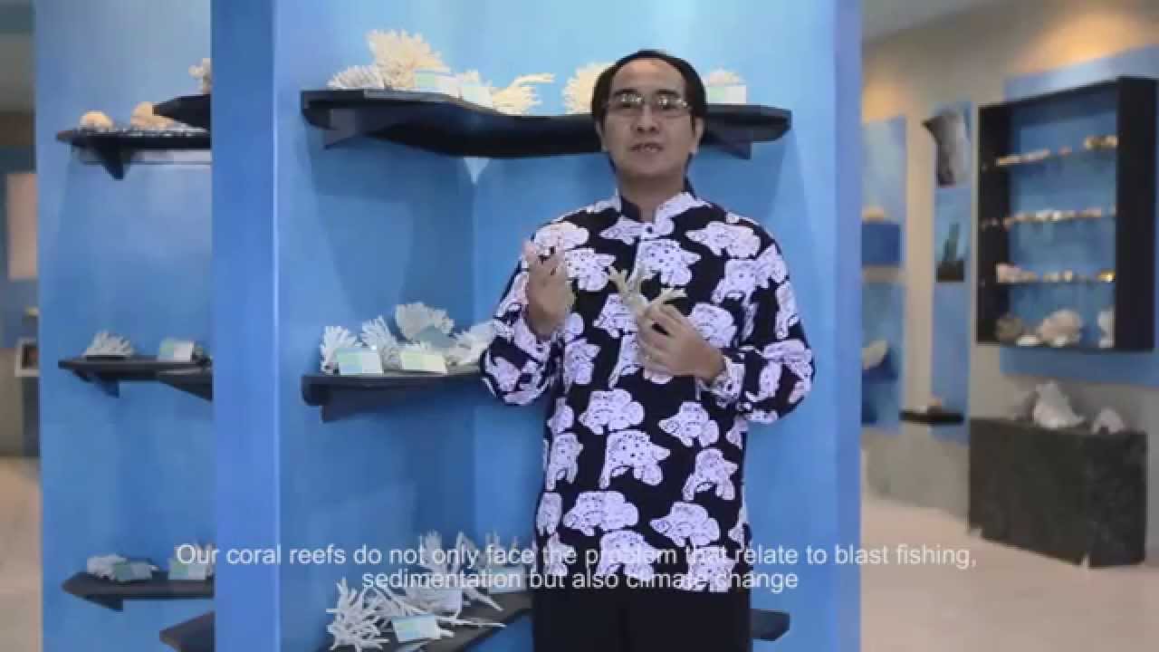 Jompa PEER Coral Diseases Film