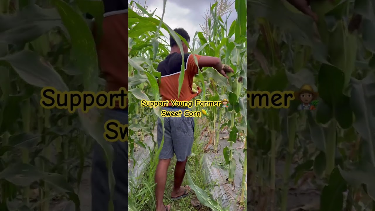 Support Young Farmer