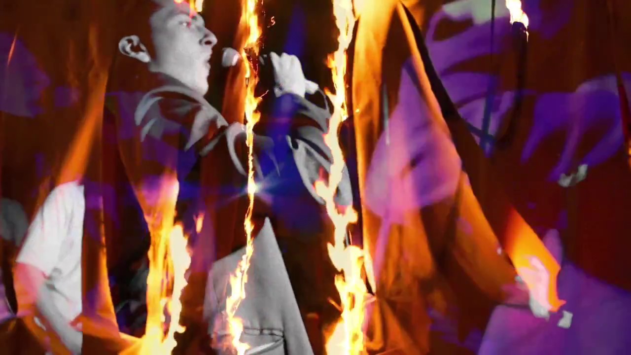 shame - Tasteless (Official Video)