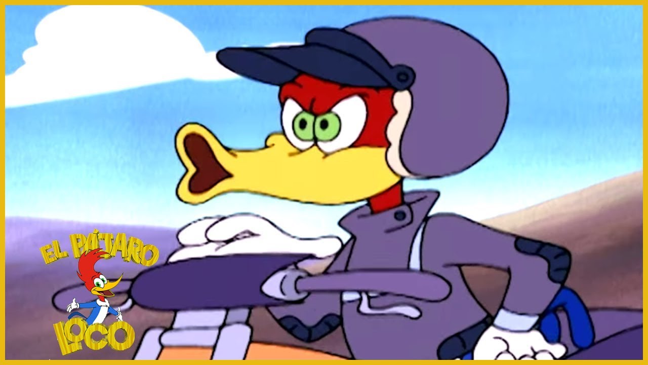 El Pájaro Loco en Español | Carrera de Motocross | Dibujos Animados | Caricaturas para Niños