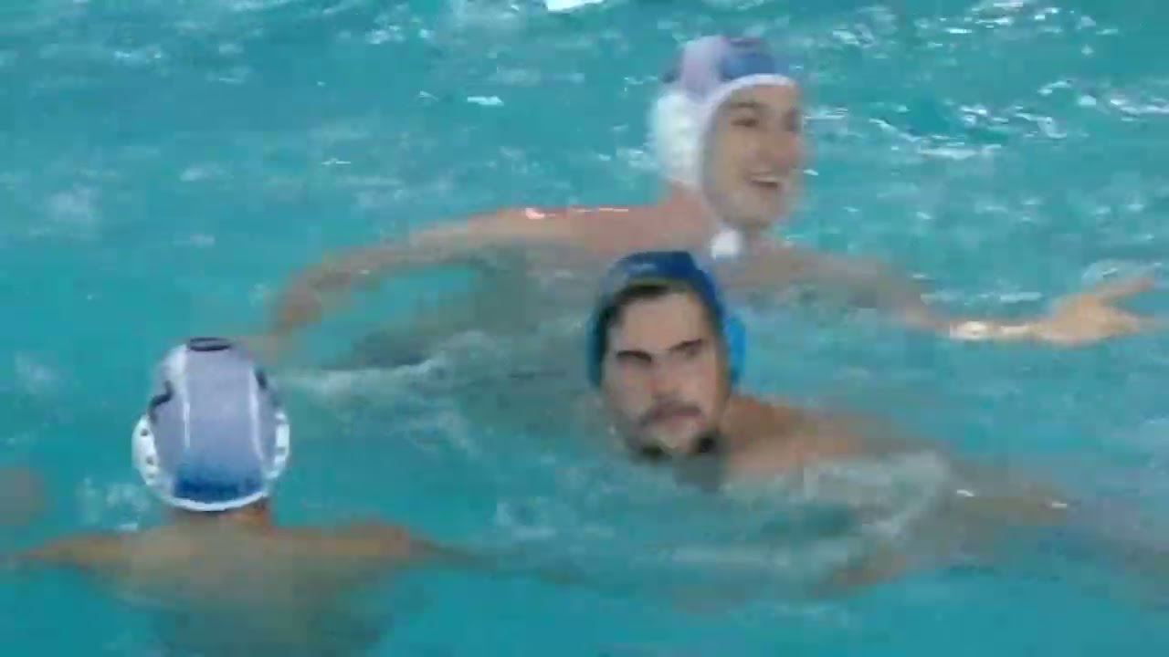 Novi Beograd vs Jadran Split - Highlights - Champion's League 2021/2022 Day 12
